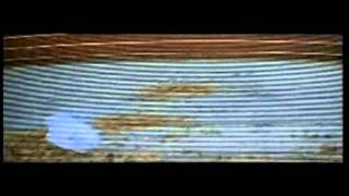 Piccola Orchestra Avion Travel - La casa al mare