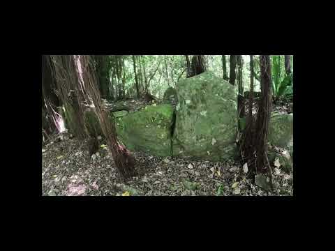 フアヒネ島の地形図