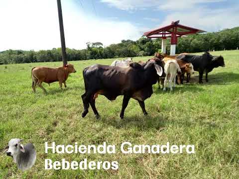 Finca Puerto López, Meta, Vereda Altamira