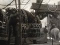 Wirth S Circus The Elephants Arrive C 1936