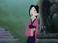 Mulan Reflection Danish