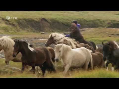 Terra X - Faszination Erde [HD]