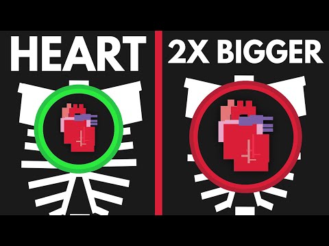 如果你的心有兩倍大呢？ (What If Your Heart Was Twice As Big?)