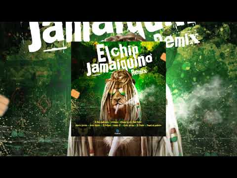 BULIN 47 X CEKY VICINY X VARIOS ARTISTAS CHIP JAMAIQUINO RMX (📀DRG HQ AUDIO📀)