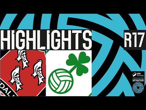 bg-highlight