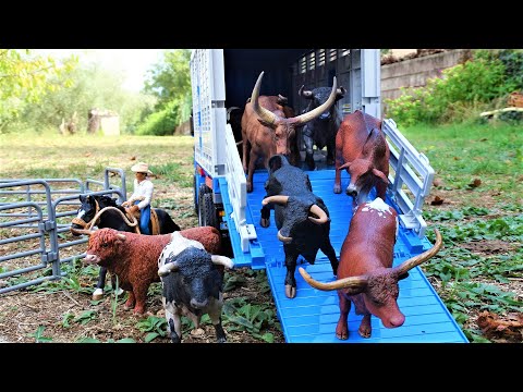 MOVING BULLS/ Touros / STOP MOTION/ Trasporto TORI