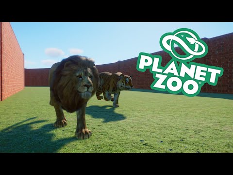 BIG CAT RACING TOURNAMENT: Who is the Fastest of our Four Competitors?