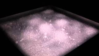 Cymatics by Suguru Goto