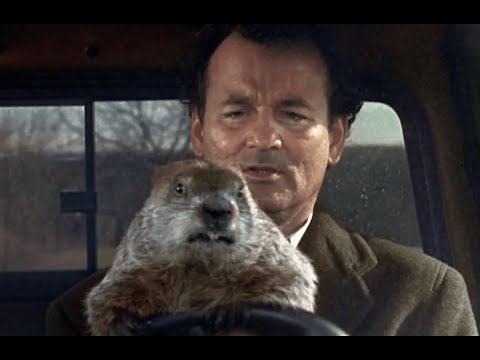 Groundhog Day With the Ant Computer