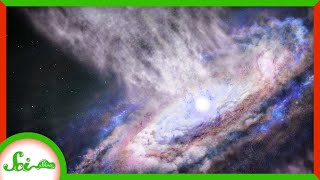 We Use Black Holes to Study Tectonic Plates