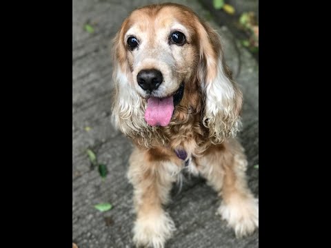 Zeena  - A Life In Pictures