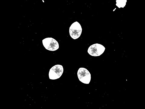 Codly, Viznode & zy - Reborn in death as the cherry blossoms fall.