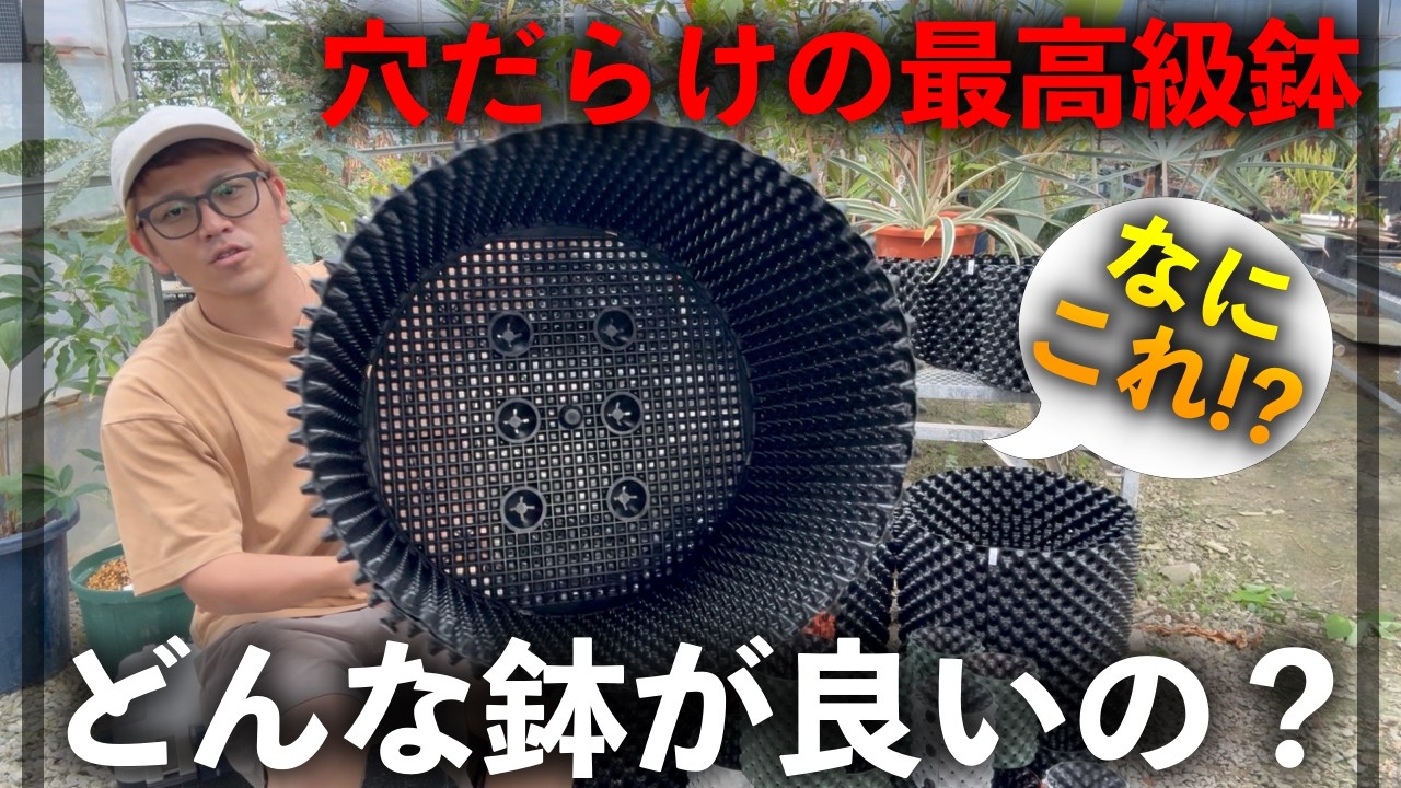 植物には、どんな鉢が良いの？