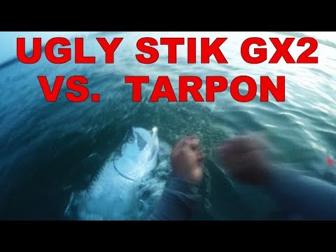 UGLY STIK GX2 Vs. Tarpon