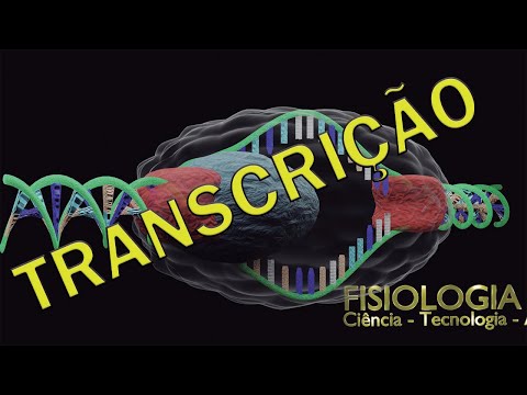 Lesson 26 - DNA Transcription (Molecular Biology with animation)