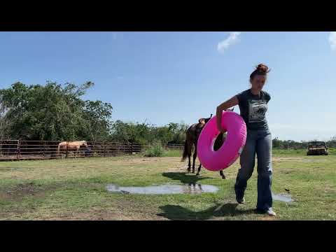 youtube preview