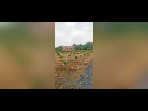 Đất Nền sổ sẵn chợ Thạnh Tân, huyện Tân Châu, Tây Ninh. View núi Bà Đen.
