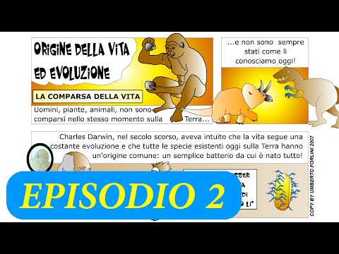 [Stagione 5] Evoluzione Episodio 2