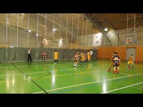 Tygři jbc brno vs BA Sparta Praha(2)