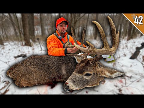 5 Public Land Whitetails DOWN - 1 Yard Shot on DEER DRIVE!