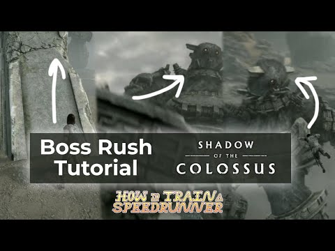 How To Train A Speedrunner - Shadow of the Colossus
