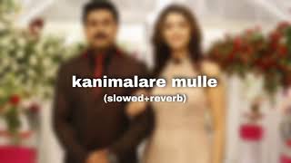 kanimalare mulleslowed+reverbtwo countries