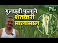 गुलछडी फुल शेतीतून शेतकऱ्याची लाखात �