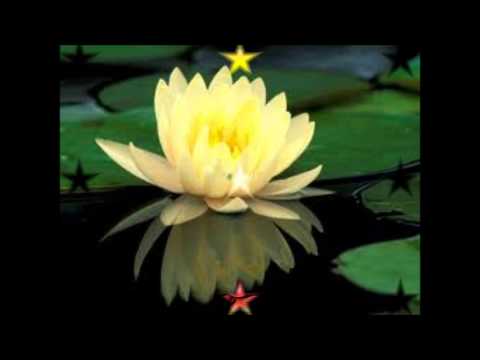 Namo Guan Shi Yin Pusa