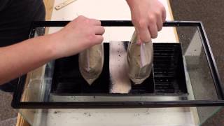 Longboat? More Like Wrong Boat!: A Study of Relative Hull Stability