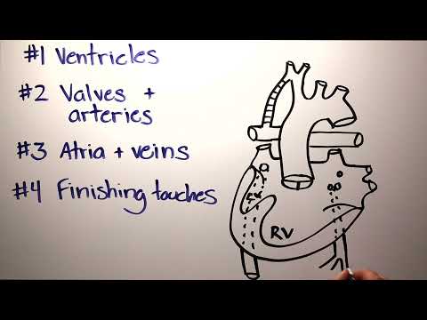 How to draw congenital heart disease part 2