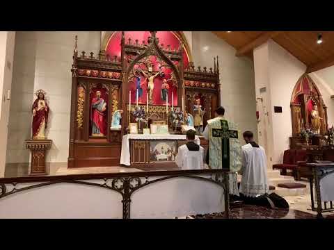 Introitus - Dominica V Post Pentecosten (Ps 26:1, 7; Ps 62:9)