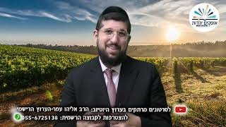 הכרם המסתורי | זרע שמשון | פרשת נח | הרב אליהו עמר (הרב אליהו עמר) - התמונה מוצגת ישירות מתוך אתר האינטרנט יוטיוב. זכויות היוצרים בתמונה שייכות ליוצרה. קישור קרדיט למקור התוכן נמצא בתוך דף הסרטון