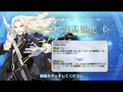 【FGO】Vlad III Noble Phantasm 2nd Upgrade Demo『Kazikli Bey』【Fate/Grand Order】
