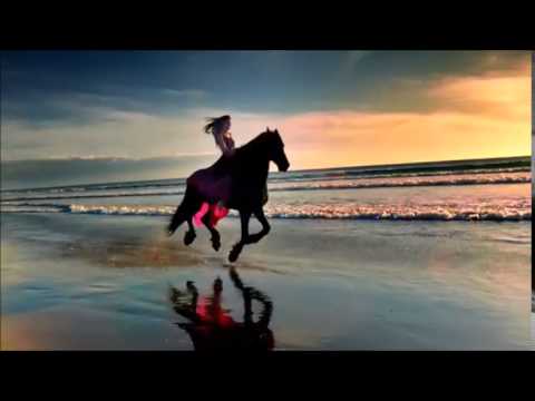 Tina Arena - Still Running   { New Music }