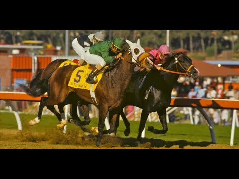 WILD AGAIN Breeders' Cup Classic (G1) 1984
