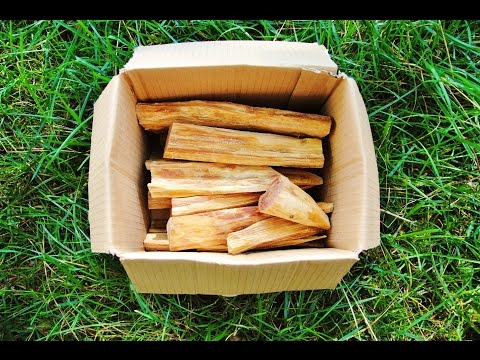 Kienspan (Fatwood) [finden, ernten, verarbeiten]