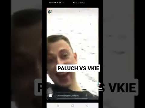 Paluch vs Vkie