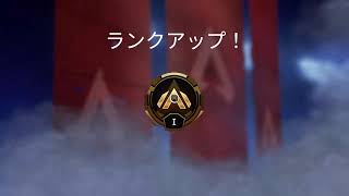 [Apex]デュオランク