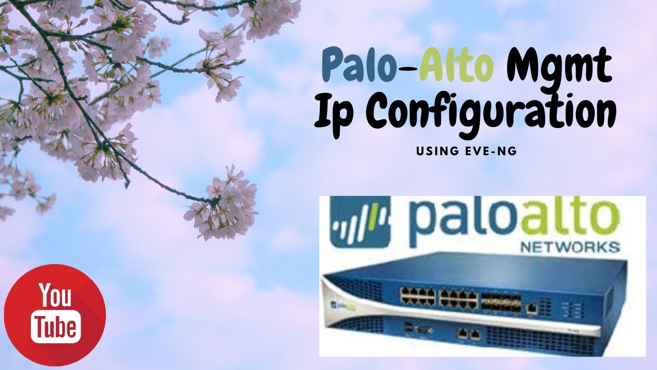 Palo-Alto Management IP Configuration