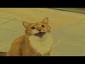Shortest Video On YouTube Effects Cllieszy Csupo Effects