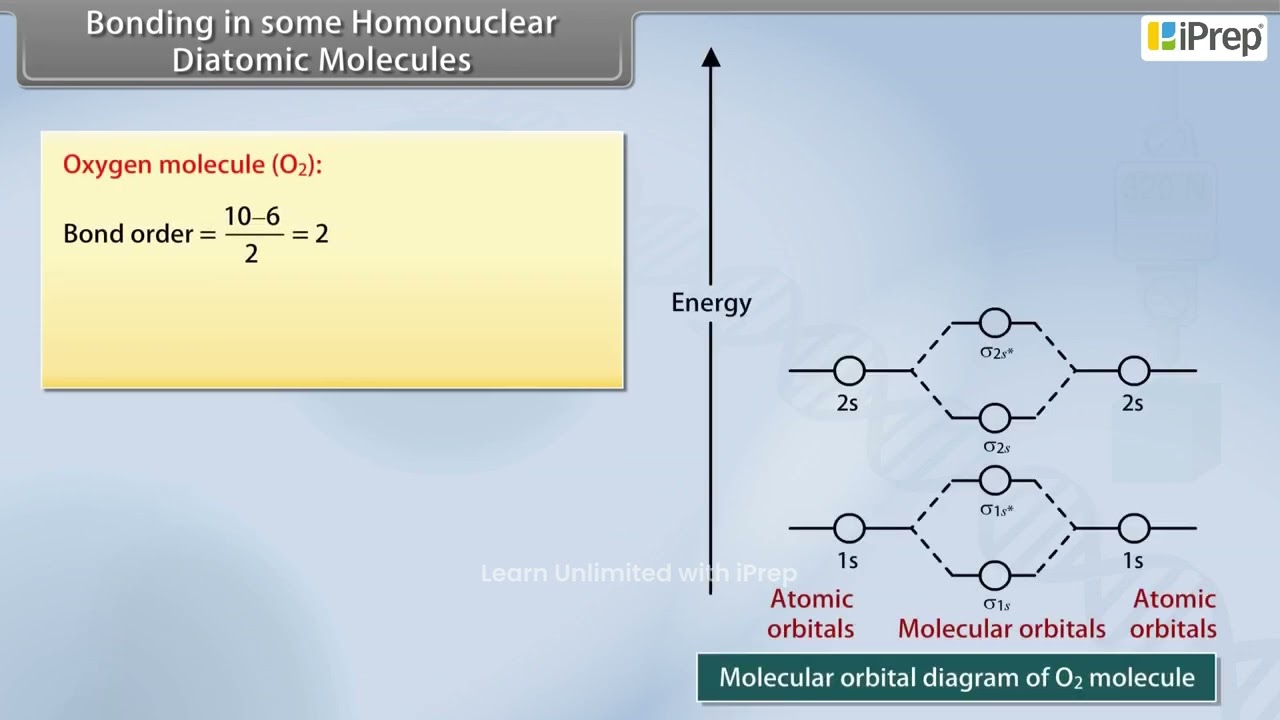 Bonding in Some Homonuclear Diatomic Molecules | Chemistry | Class 11th | iPrep