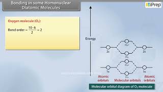 Bonding in Some Homonuclear Diatomic Molecules | Chemistry | Class 11th | iPrep