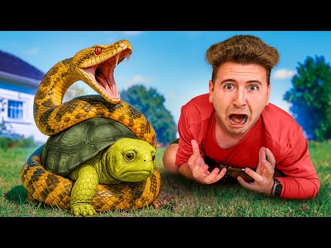 NOSSA TARTARUGA ENCONTRADA NO LIXO FOI LEVADA POR UMA COBRA!