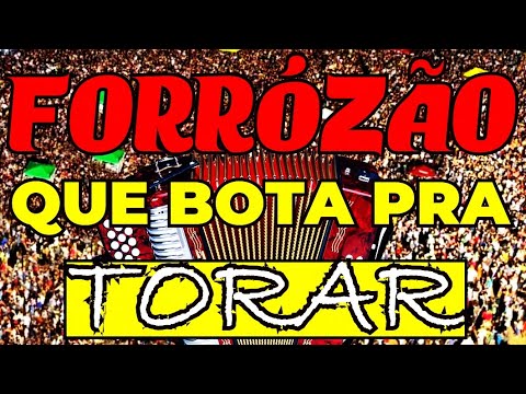 FORRÓZÃO QUE BOTA PRA TORAR, FORRÓ SHOW CHAMEGADO , PRA TODOS DANÇAR MUSIC MIX HITS NEW BALADA DANCE