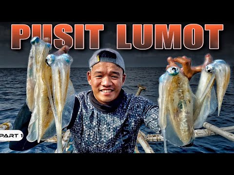 EP956-P1 - Pusit Lumot Catch and Cook