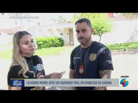 Cachorro morre após ser queimado vivo, em Aparecida de Goiânia