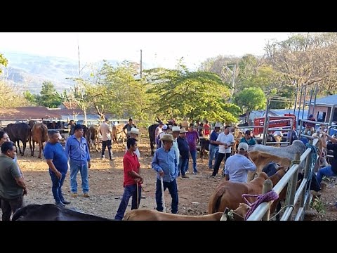 tiangue de Osicala, Morazán, El Salvador, viernes 06 de marzo 2026