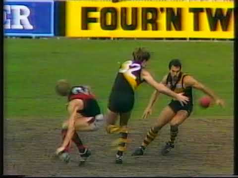 1985 Essendon v Richmond Highlights