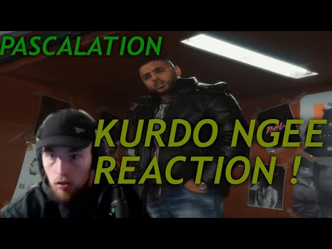 KURDO & NGEE BUTTERFLY REACTION DER BESTE KURDO SEIT LANGEM