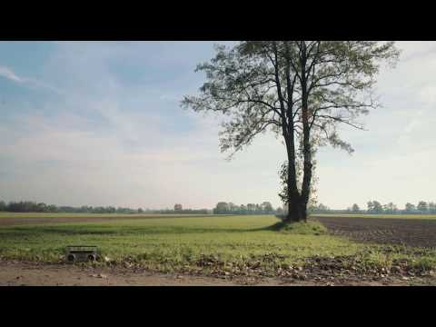 Jarecki - Porozmawiaj ze mną ft. Marta Kosakowska [Official Audio]